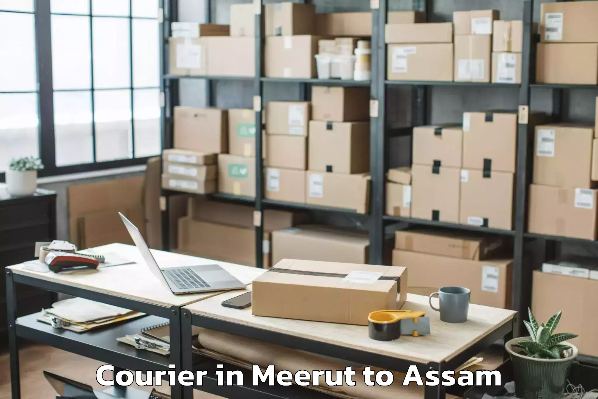 Efficient Meerut to Umrangso Courier